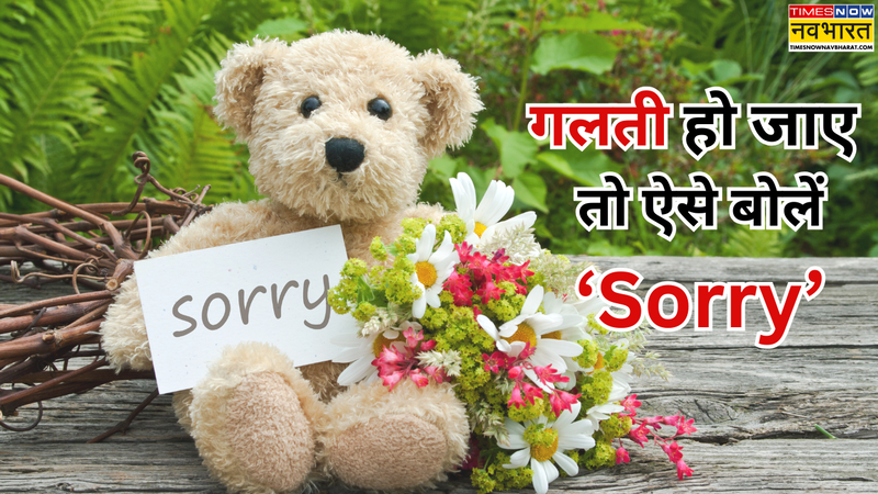 Sorry quotes in Hindi