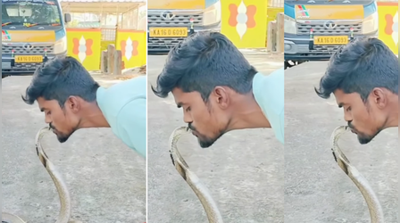 Today Viral Video: इसे कहते हैं जिगरा...जहरीले सांप को किस कर रहा था शख्स, देखें शॉकिंग नजारा