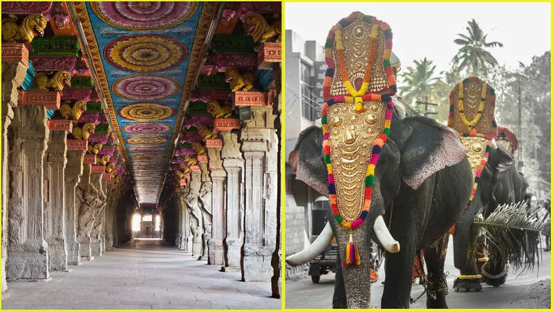 Sabarimala Online Booking process