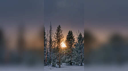 फर्स्ट स्नो ट्रिप, बच्चों के लिए देश के टॉप 7 हिल स्टेशन