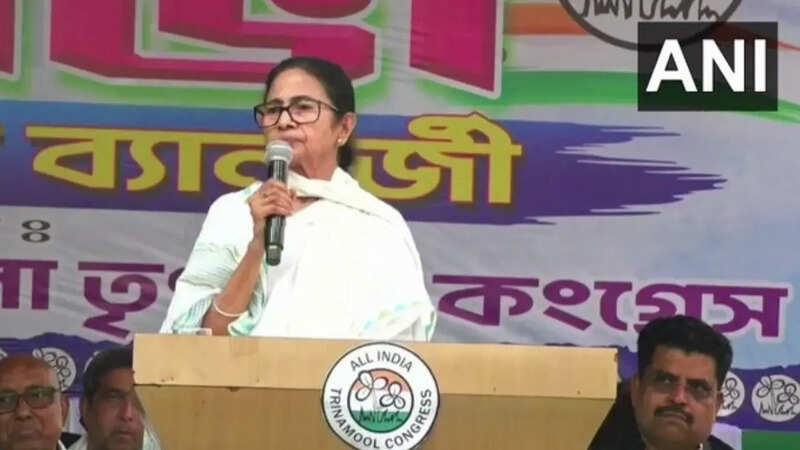ममता बनर्जी।