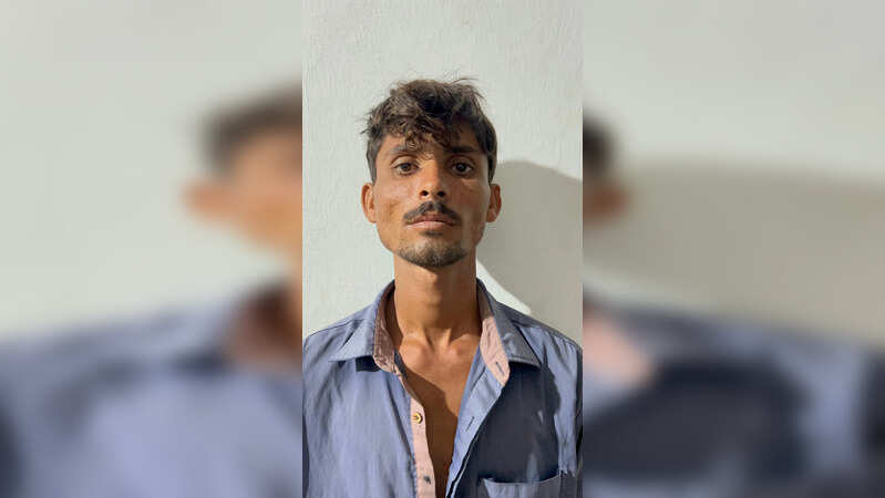 BSF ने नाकाम की घुसपैठ की कोशिश, रात के अंधेरे में भारत में घुसा पाकिस्तानी युवक गिरफ्तार; जांच जारी