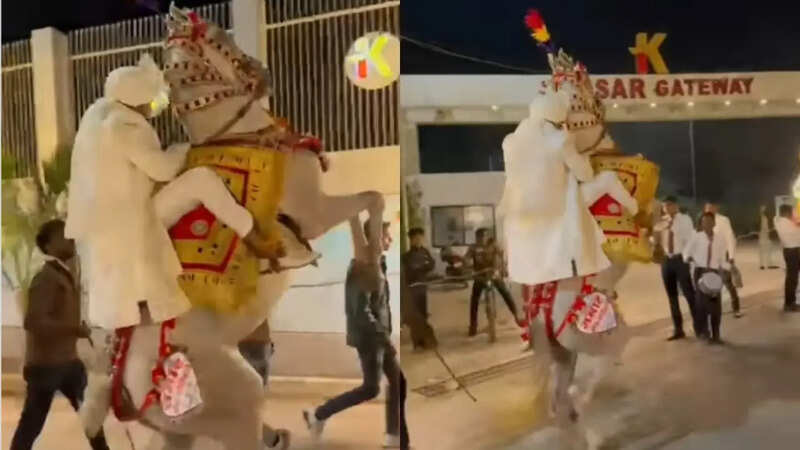 बारात में घोड़ी ने मचाया हंगामा