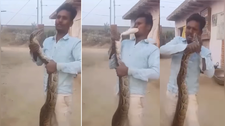 Today Viral Video: अजगर को हाथ में पकड़ था शख्स, सांप ने मुंह पर किया ऐसा हमला देखकर कांप जाएंगे