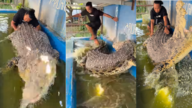 Today Viral Video मगरमच्छ से मजे ले रहा था शख्स समंदर के सिकंदर ने किया ऐसा पलटवार देखकर कांप जाएंगे