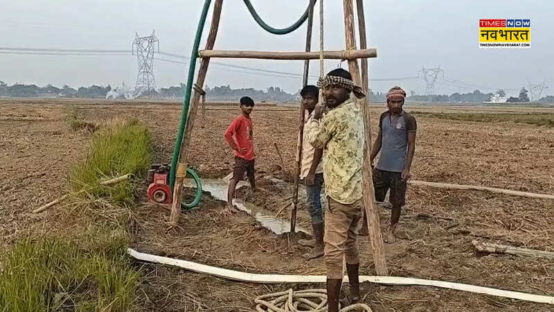 Mau crude oil Survey