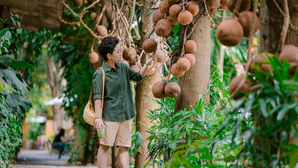 प्रकृति का अनमोल तोहफा है गोले सा दिखने वाला ये फल, रोज खाने से सेहत को मिलते हैं अनगिनत फायदे