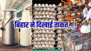 बिहार का दमदार प्रदर्शन: दूध, अंडा और मांस उत्पादन में जबरदस्त उछाल, राष्ट्रीय औसत से निकला आगे