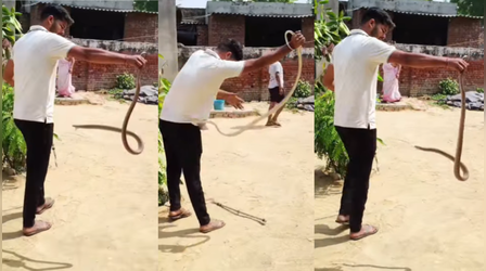 Today Viral Video: हाथ में सांप को झुलाते हुए जा रहा था लड़का, फिर जो हुआ वो दिल दहलाने वाला था