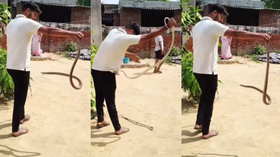 Today Viral Video हाथ में सांप को झुलाते हुए जा रहा था लड़का फिर जो हुआ वो दिल दहलाने वाला था