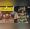 अंदर से ऐसा दिखता है भारत के सबसे महंगे घर का मंदिर एंटीलिया हाउस के भगवान देख जोड़ लेंगे हाथ