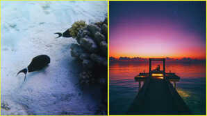 छुट्टियों में कहां जाएं, कौन है बेस्ट बीच डेस्टिनेशन-लक्षद्वीप या मालदीव?