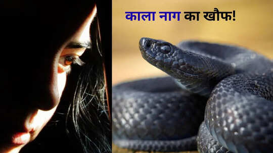 OMG दो महीने से टॉयलेट में कब्जा करके बैठ था काला सांप डर के मारे पति को छोड़ मायके चली गई पत्नी