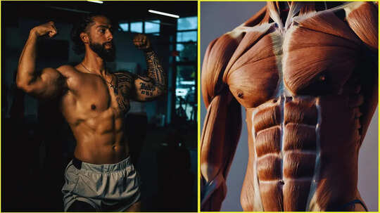 जिम जाते हैं जानें रोज कितना प्रोटीन चाहिए खाना तेजी से बढ़ेगी मसल्स