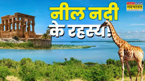 11 देश, दो महाद्वीप और 6650 किलोमीटर की यात्रा, ऐसे ही नील नहीं बन जाती धरती की सबसे लंबी नदी, बुझाती है 300 मिलियन लोगों की प्यास
