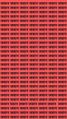 जवान की भीड़ में कहां लिखा है पठान किंग खान के असली फैन ही ढूंढ़ पाएंगे