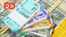 रेपो रेट में कटौती के बाद FD पर ब्याज घटना तय, अब देर नहीं करें, इन बैंकों में मिल रहा सबसे ज्यादा रिटर्न
