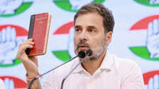 'देश के संविधान को खतरा, हम सभी को...' बाबासाहेब अंबेडकर का जिक्र कर क्या-क्या बोले राहुल गांधी?