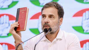 'देश के संविधान को खतरा, हम सभी को...' बाबासाहेब अंबेडकर का जिक्र कर क्या-क्या बोले राहुल गांधी?