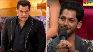 Bigg Boss 19: 'जिस शो ने इतना दिया उसकी बुराई की...'- बसीर अली पर भड़के सलमान खान, सपोर्ट में उतरे फैंस