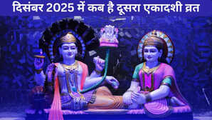 दिसंबर 2025 में कब रखा जाएगा दूसरा एकादशी व्रत, जानिए सफला एकादशी की तिथि और पूजा विधि