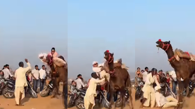 Today Viral Video ऊंट की सवारी कर रहा था कपल अचानक हुआ खेल देखकर उछल जाएंगे आप