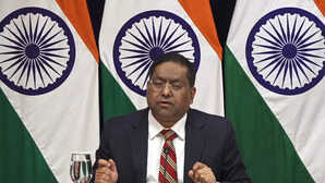 MEA: चीनी हवाई अड्डों पर भारतीयों को न किया जाए परेशान, अंतरराष्ट्रीय हवाई यात्रा के नियमों का सम्मान करे ड्रैगन