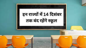 School Holiday 2025: भारत के इन राज्यों में 14 दिसंबर तक बंद रहेंगे स्कूल, यहां देखें अपने स्टेट का हाल