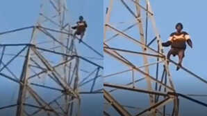 175 फुट ऊंचे टावर पर चढ़ा शराबी, बोला – 'सुधर जाओ, खनन चालू कराओ वरना कूद जाऊंआ', देखें वायरल Video