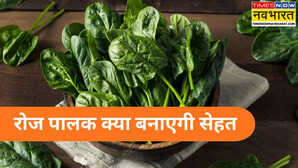 सर्दी में रोज पालक खाने से क्या होता है, क्या ठंड में रोजाना पालक खा सकते हैं