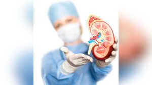 बार-बार बन रहे हैं किडनी स्टोन इन आयुर्वेदिक नुस्खों से हो सकता है बचाव