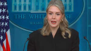 रूस-यूक्रेन पीस डील में हो रही देरी से 'बेहद हताश' हो गए हैं ट्रंप, अब बैठकों में भी नहीं रही उनकी दिलचस्पी-व्हाइट हाउस