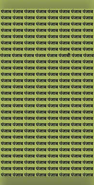 पंजाब में कहां है पंजाबी खोजने में खोजने में लग जाएगी आधी जवानी