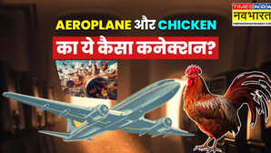 हवाई जहाज के इंजन पर क्यों फेंके जाते हैं मुर्गे? इसके पीछे की वजह आपको कर देगी हैरान