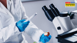 हैदराबाद में मिड-डे मील खाकर बीमार पड़े 60 बच्चे, हॉस्पिटल में भर्ती