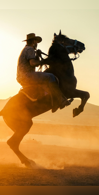 मर्दों के लिए रामबाण है ये सफेद ड्राई फ्रूट दूध के साथ खाने से आएगी घोड़े जैसी ताकत