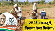 पूज्य बापू ग्रामीण रोजगार गारंटी योजना: कैसे करें आवेदन, 125 दिन काम करने पर कितनी होगी कमाई?
