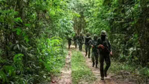 ट्रंप के दावे के बावजूद नहीं थमी गोलीबारी, कंबोडिया के खिलाफ थाईलैंड की कार्रवाई जारी; सीजफायर की कोशिश नाकाम