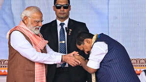 Exclusive: 'PM मोदी के भरोसे पर खरा उतरने की करूंगा कोशिश', BJP के कार्यकारी अध्यक्ष की जिम्मेदारी मिलने पर बोले नितिन नबीन