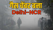 'आंखों में जलन, गले में खराश...', दिल्ली में अब तक का सबसे खराब दमघोंटू मौसम! नोएडा का हाल भी बेहाल; AQI 461 पार