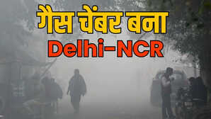 'आंखों में जलन, गले में खराश...', दिल्ली में अब तक का सबसे खराब दमघोंटू मौसम! नोएडा का हाल भी बेहाल; AQI 461 पार