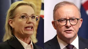 Bondi Beach Terrorist Attack: पीएम अल्बानीज पर हमलावर हुईं ऑस्टेलिया में विपक्ष की नेता, कहा- सरकार यहूदियों की रक्षा करने में नाकाम