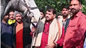 Gonda News: बृजभूषण सिंह को गिफ्ट में मिला डेढ़ करोड़ का घोड़ा, कीमत जान हंसने लगे, कहा- 'यार हम तो पागल हो जाएंगे'