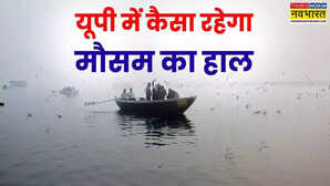 UP Weather: यूपी में सर्द हवाओं से बढ़ी गलन, घना कोहरा बना मुसीबत; आज 38 जिलों में अलर्ट