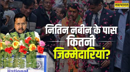 BJP में कितना ताकतवर है राष्ट्रीय कार्यकारी अध्यक्ष का पद, जो आया है नितिन नबीन के हिस्से; क्या कहता है भाजपा का संविधान?