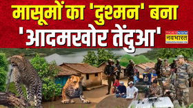 Maharashtra News मासूमों का दुश्मन बना आदमखोर तेंदुआ वन विभाग की टीम ने गांव में डाला डेरा