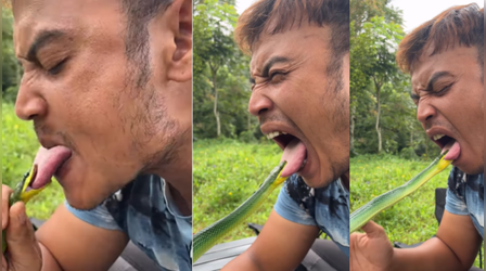 Today Viral Video: सांप के साथ खिलवाड़ कर रहा था शख्स, फिर हुआ ऐसा खेल देख निकल जाएगी चीख