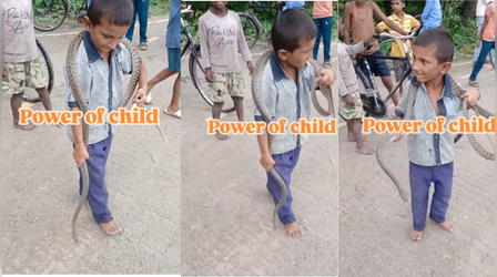 Today Viral Video: खिलौने की तरह सांप से खेल रहा था बच्चा, जिसने भी देखा वो देखता ही रह गया