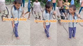 Today Viral Video खिलौने की तरह सांप से खेल रहा था बच्चा जिसने भी देखा वो देखता ही रह गया