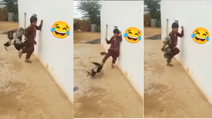 Today Viral Video बच्चे के ऊपर मुर्गी ने कर दिया हमला नजारा देखकर नहीं रोक पाएंगे अपनी हंसी